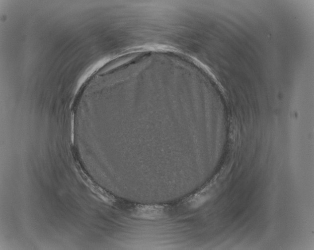 X0000084041171200703022141