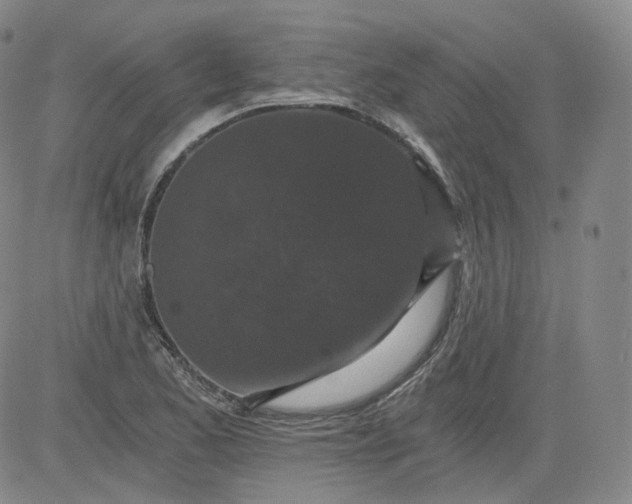 X0000084041173200703022141