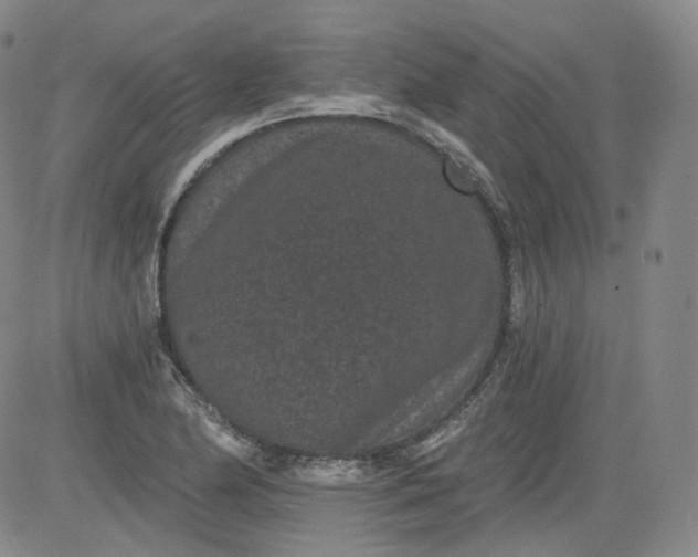 X0000084041174200703022141