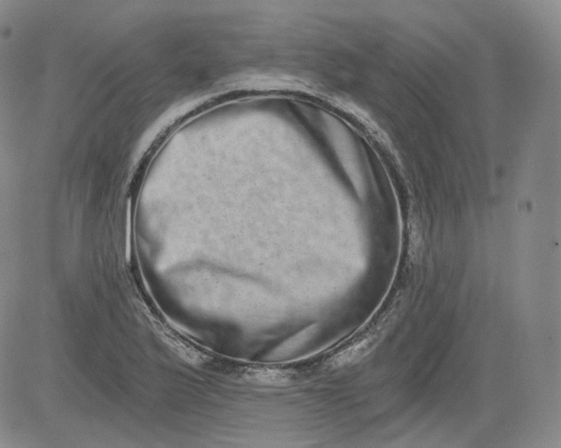 X0000084041175200703022141