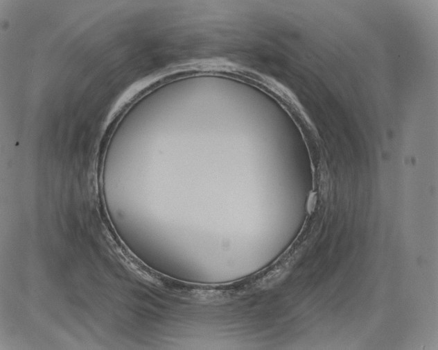 X0000084041176200703022141