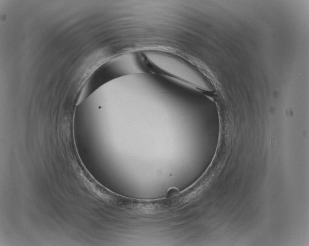 X0000084041177200703022141