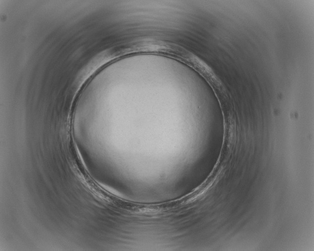 X0000084041178200703022141