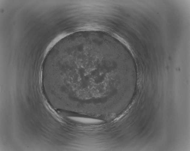 X0000084041179200703022141