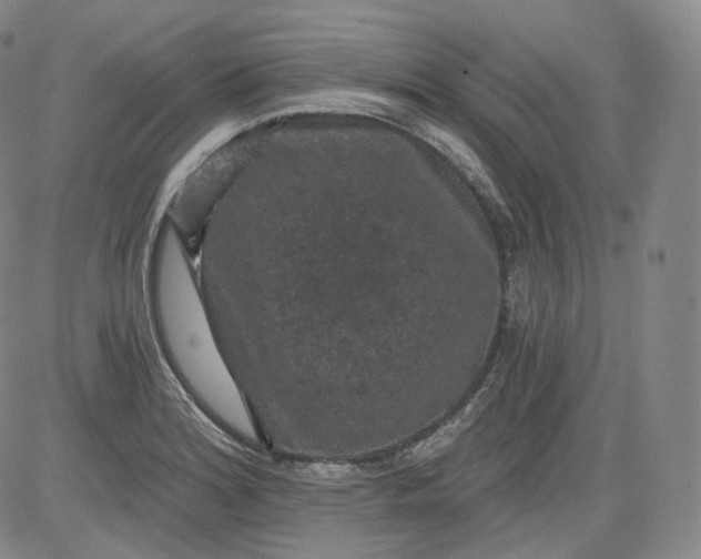 X0000084041180200703022141