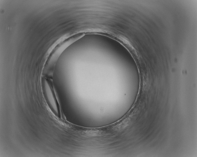 X0000084041181200703022141