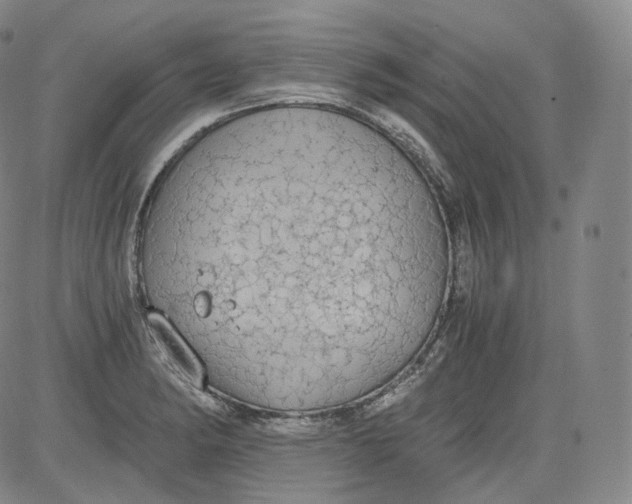 X0000084041182200703022141