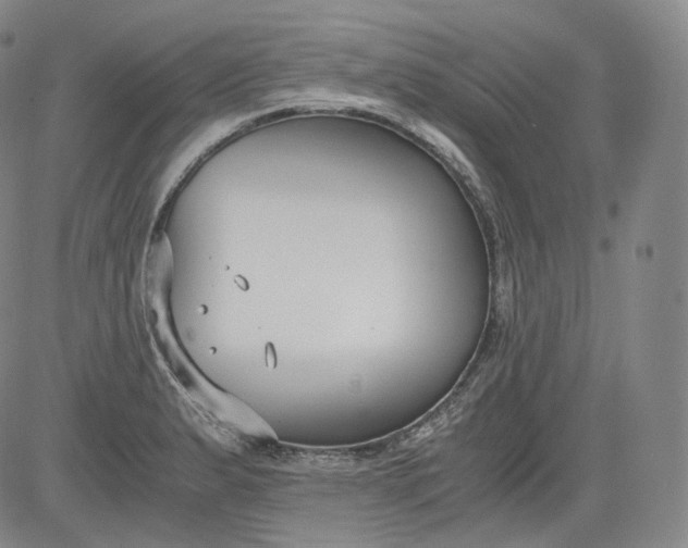 X0000084041183200703022141