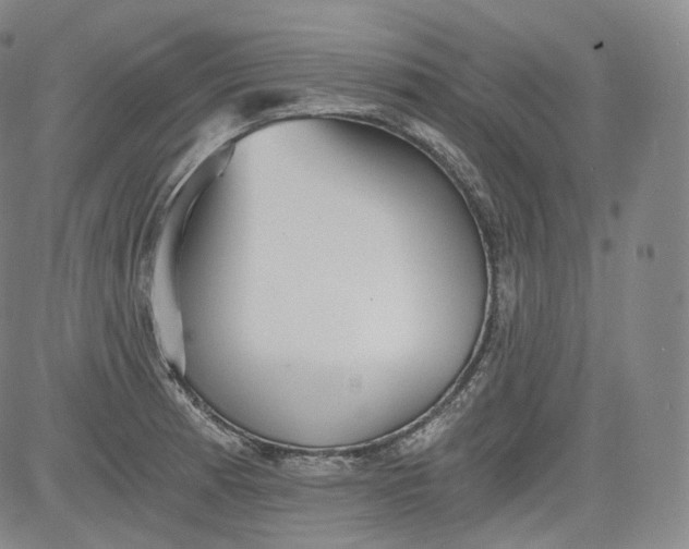 X0000084041185200703022141