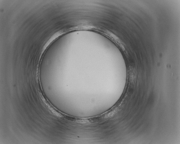 X0000084041186200703022141