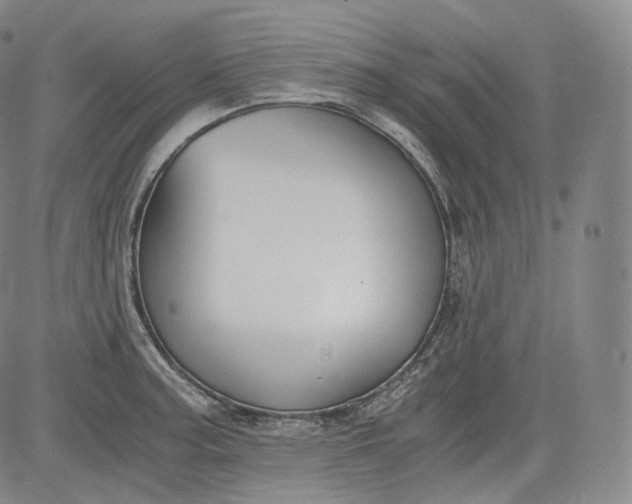 X0000084041187200703022141