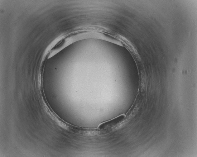 X0000084041188200703022141