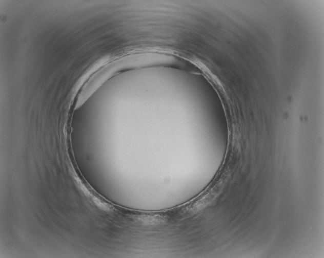 X0000084041189200703022141