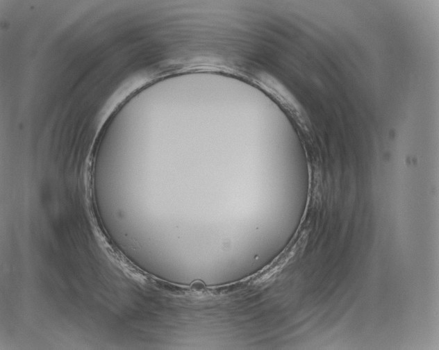 X0000084041190200703022141