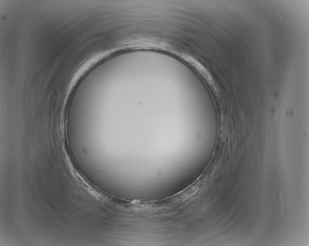 X0000084041191200703022141