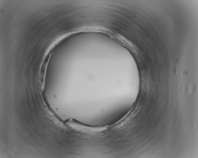 X0000084041192200703022141