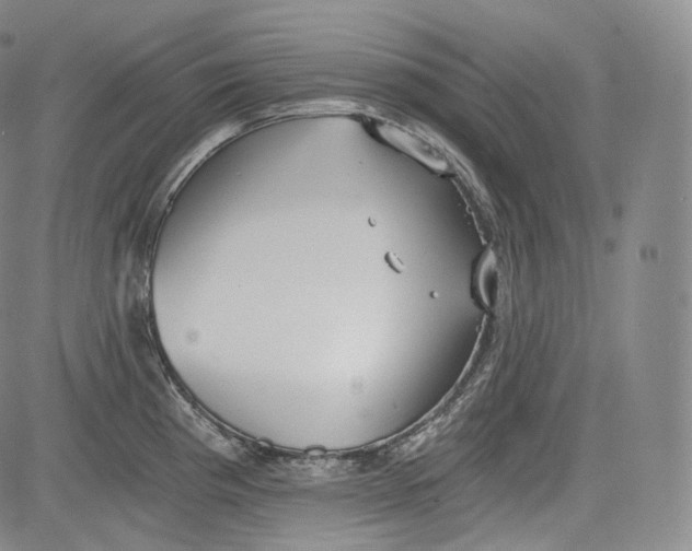 X0000084041193200703022141