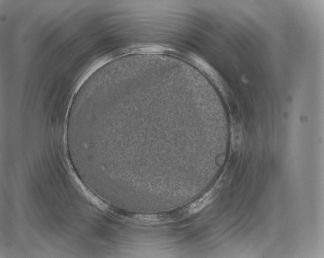 X0000084041194200703022141