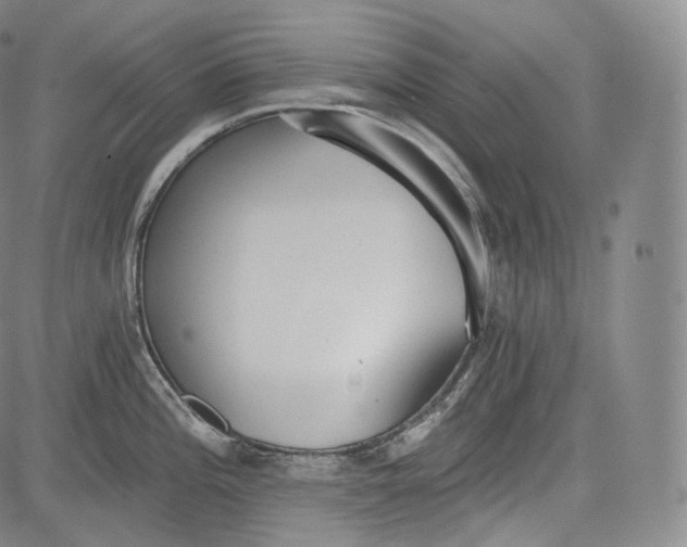 X0000084041196200703022141