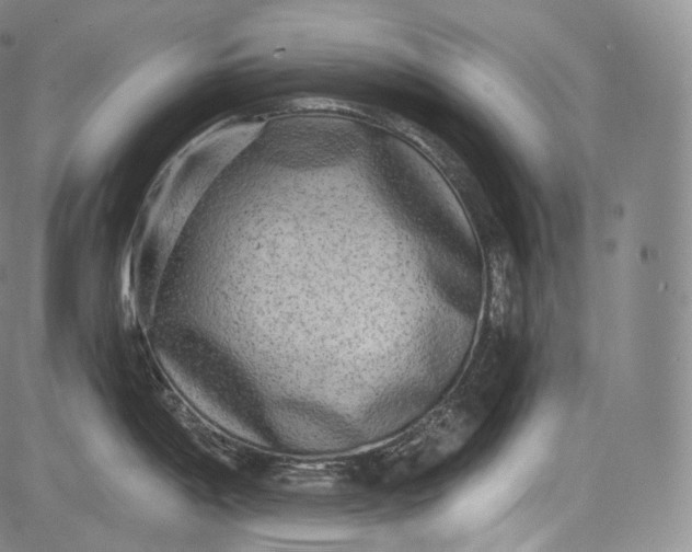 X0000084041198200703022141