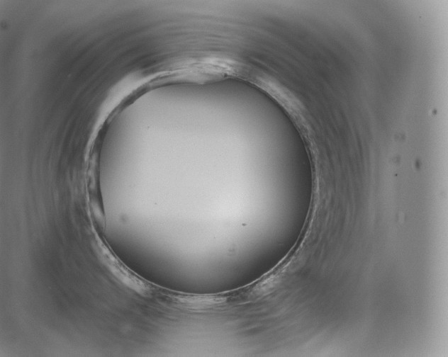 X0000084041200200703022141