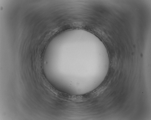 X0000084041201200703022140