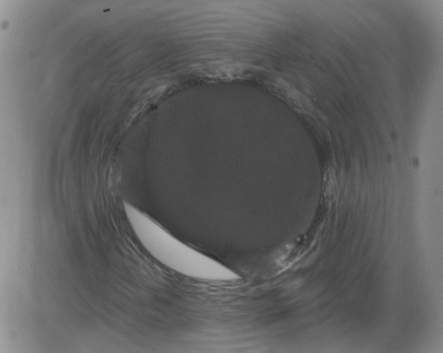 X0000084041202200703022140