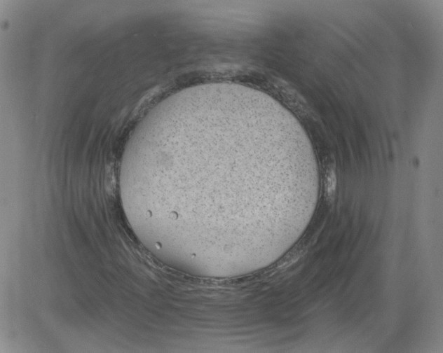 X0000084041204200703022140