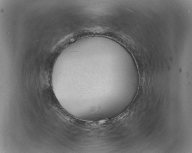 X0000084041205200703022140