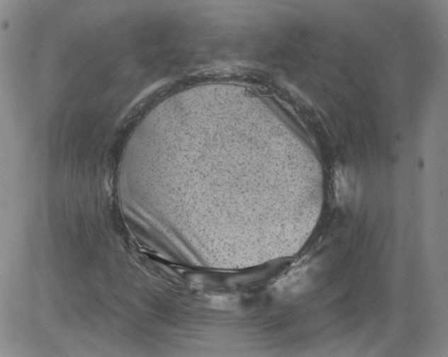 X0000084041206200703022140