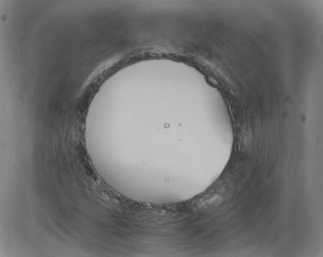 X0000084041207200703022140