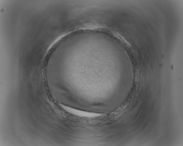 X0000084041208200703022140