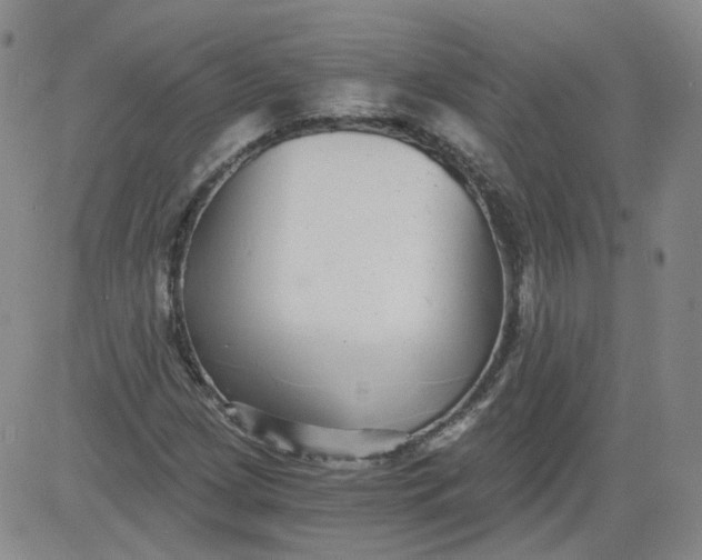 X0000084041209200703022140