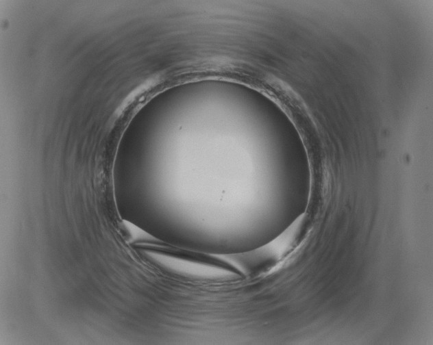 X0000084041210200703022140