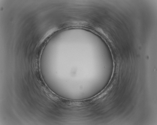 X0000084041211200703022140