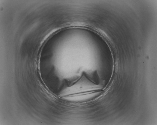 X0000084041212200703022140