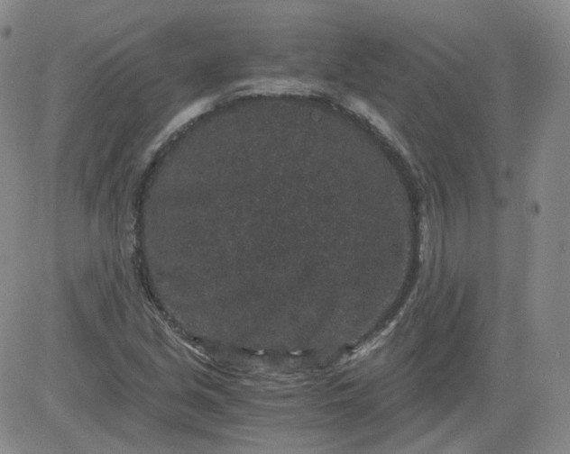 X0000084041213200703022140