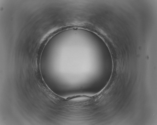 X0000084041214200703022140