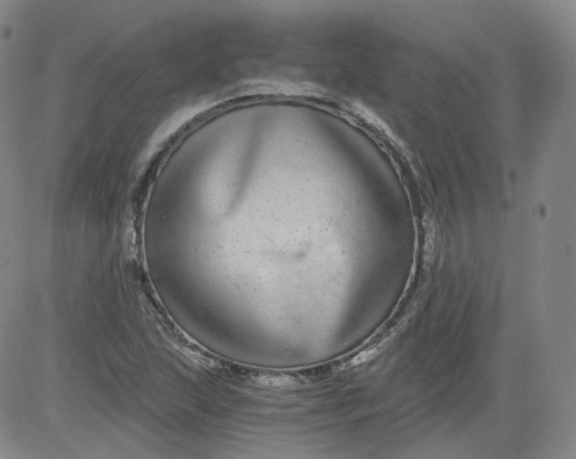 X0000084041215200703022140