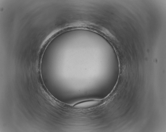 X0000084041216200703022140