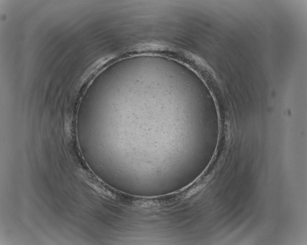 X0000084041217200703022140