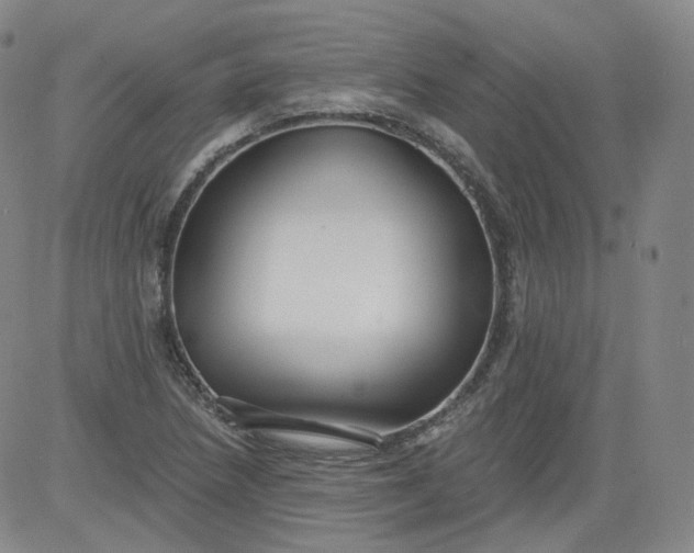 X0000084041218200703022140