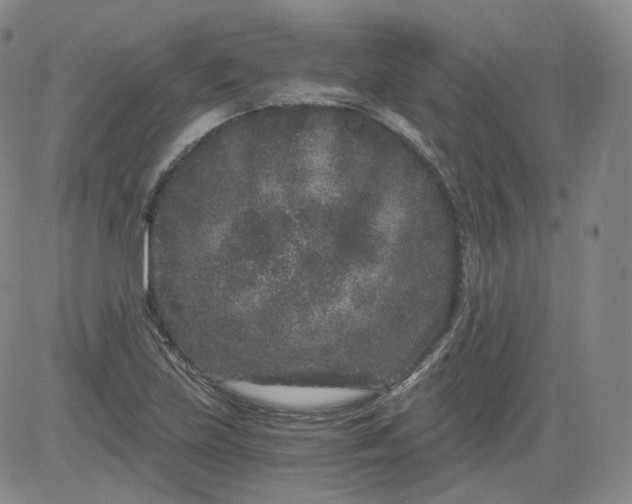 X0000084041219200703022140