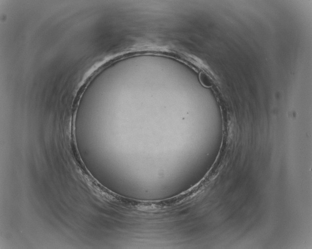 X0000084041220200703022140