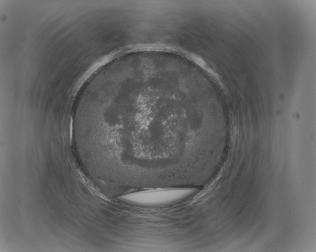 X0000084041221200703022140