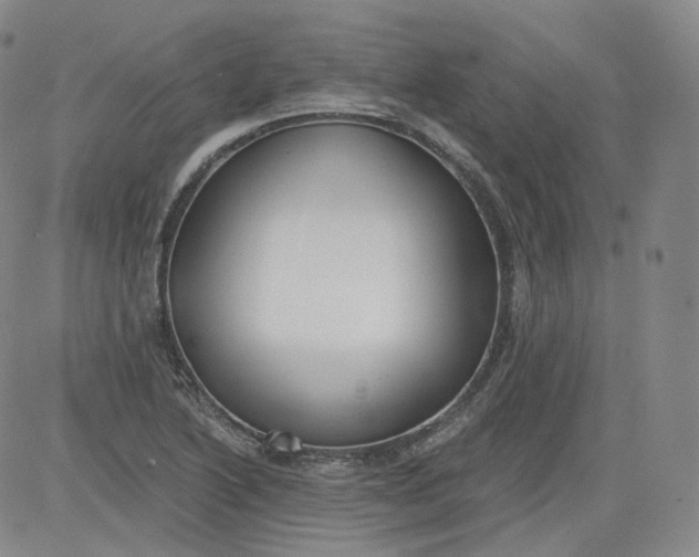 X0000084041222200703022140