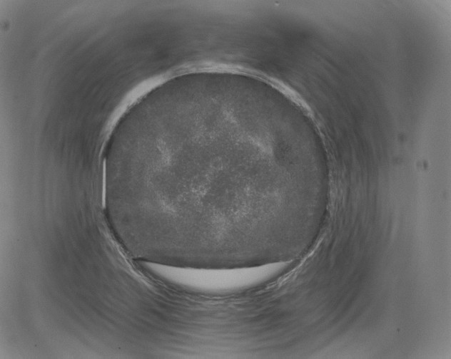 X0000084041223200703022140