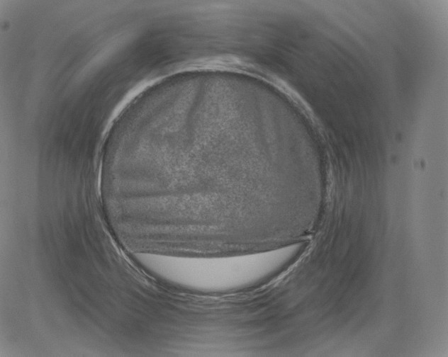 X0000084041224200703022140