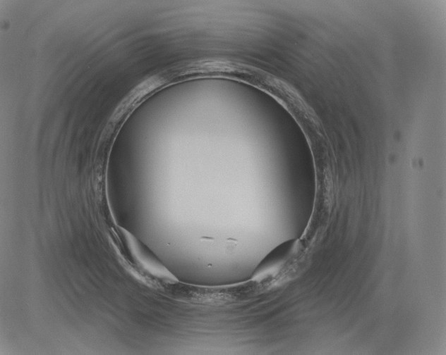 X0000084041225200703022140