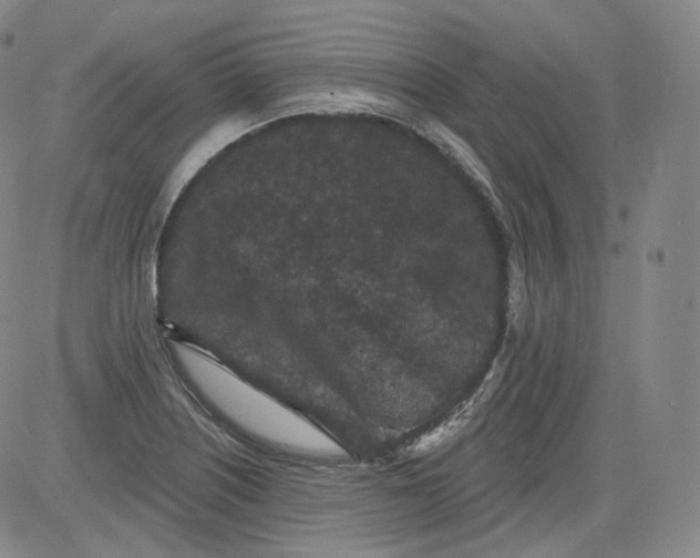 X0000084041226200703022140